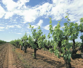 Alexandra Bridge WA Hotel NSW