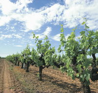 Blackwood Meadery - Hotel NSW