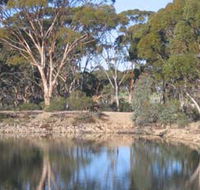 Merredin Railway Dam - Hotel NSW