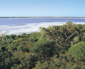 Pink Lake - Hotel NSW 0