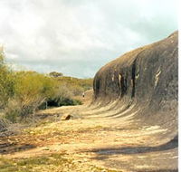 Totadgin Dam Reserve - Hotel NSW