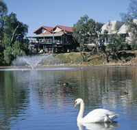 White Swans - Hotel NSW