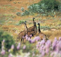 Jurabi Coastal Reserve - Hotel NSW