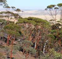 Mount Matilda Walk Trail Wongan Hills - Hotel NSW