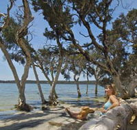 Stokes National Park - Hotel NSW