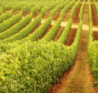 Darlington Estate Winery and Restaurant - Hotel NSW