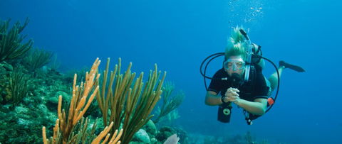 Coastal Water Dive - Hotel NSW 0
