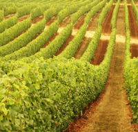 MadFish Wines Denmark - Hotel NSW