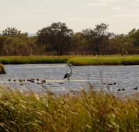 Anytime Adventures in Mandurah  the Peel Region - Hotel NSW