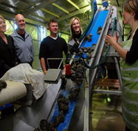 Eyre Peninsula's Seafood Trail - Hotel NSW