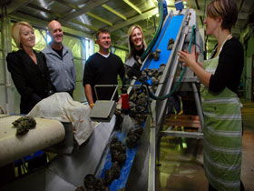 Eyre Peninsula's Seafood Trail - Hotel NSW 0