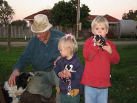 Orrie Cowie Merino And Poll Merino Stud - Hotel NSW 0
