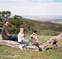 Bridle Track - Hotel NSW