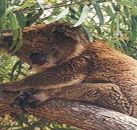 Mikkira Station - Hotel NSW