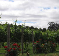 Manyara Vineyard - Hotel NSW