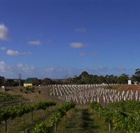 Deep Creek Wines and Alpacas - Hotel NSW