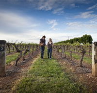 Coonawarra Wineries Walking Trail - Hotel NSW