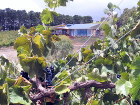 Zimmermann Wine - Hotel NSW 0