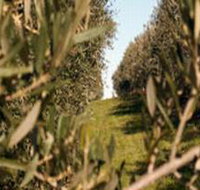 Evilo Estate - Hotel NSW