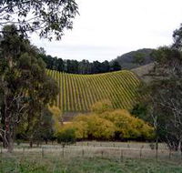 Mt Bera Vineyards - Hotel NSW