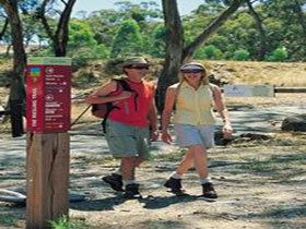 Riesling Trail - Hotel NSW 0