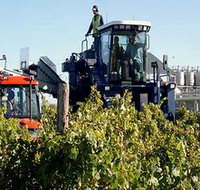 Ballast Stone Estate Wines Pty Ltd - Hotel NSW