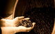 Melbas Chocolate & Confectionary - thumb 6