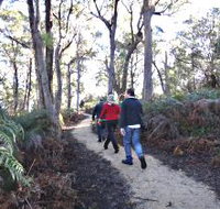 Bridport Walking Track - Hotel NSW