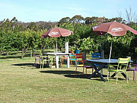 Cerise Brook Orchard & Family Golf - Hotel NSW 0