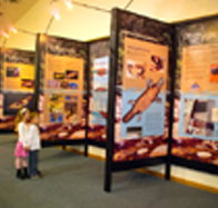 Platypus Experience - Hotel NSW