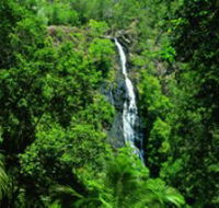 Kondalilla National Park - Hotel NSW