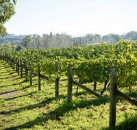 Surveyor's Hill Vineyards - Hotel NSW