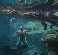 Crocosaurus Cove - Hotel NSW