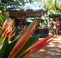 Nightcliff Markets - Hotel NSW