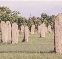 Magnetic Termite Mounds - Hotel NSW