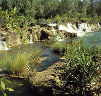 Flora River Nature Park - Hotel NSW