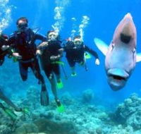 The Aarhus Dive Site - Hotel NSW