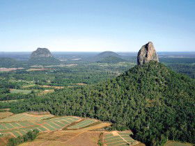 Mt Tibrogargan - Hotel NSW 0