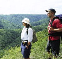 Sunshine Coast Hinterland Great Walk - Hotel NSW