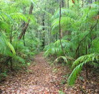 Delicia Road Conservation Park - Hotel NSW