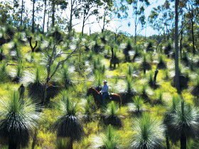 Kilkivan QLD Hotel NSW