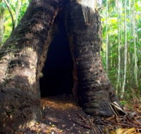 Tewantin National Park - Hotel NSW
