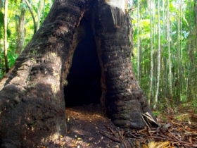 Tewantin National Park - Hotel NSW 0