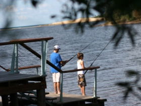 Currimundi Lake (Kathleen McArthur) Conservation Park - Hotel NSW 0