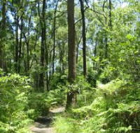 Mapleton Falls National Park - Hotel NSW
