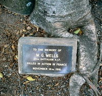 Eumundi War Memorial - Hotel NSW