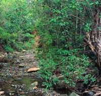 Mudlo National Park - Hotel NSW