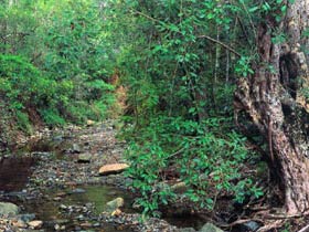 Mudlo National Park - Hotel NSW 0