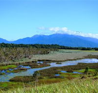Eubenangee Swamp National Park - Hotel NSW