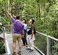 Daintree Discovery Centre - Hotel NSW
